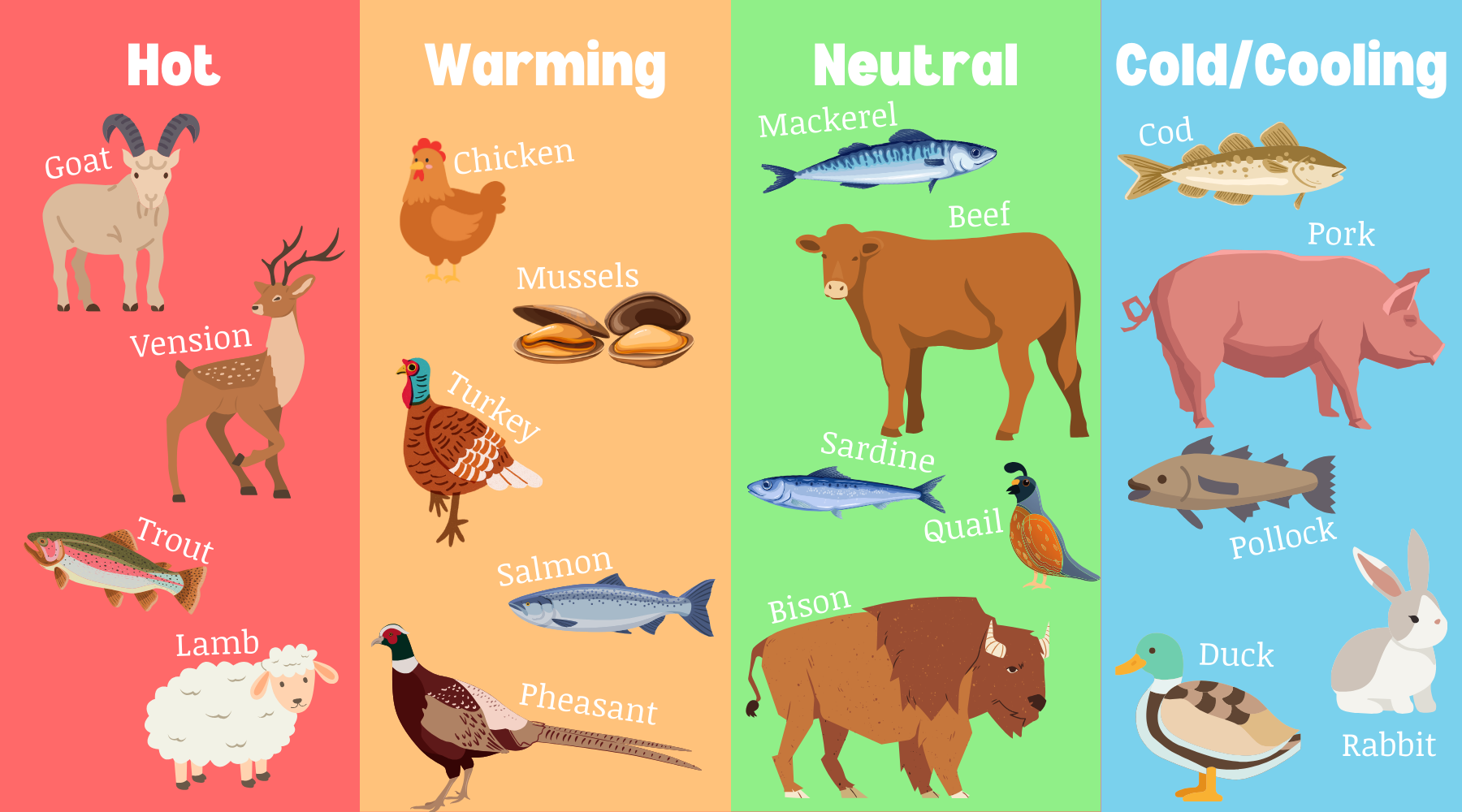 Intro to Warm and Cool Pets and Proteins