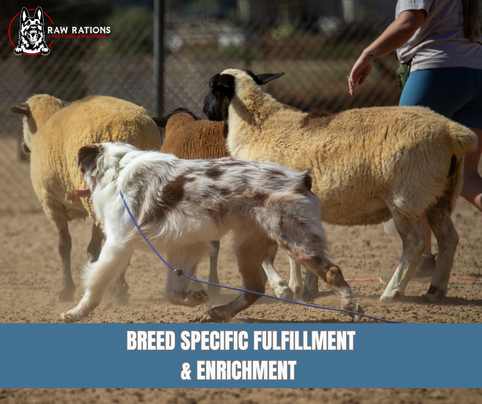 Fulfillment + Enrichment