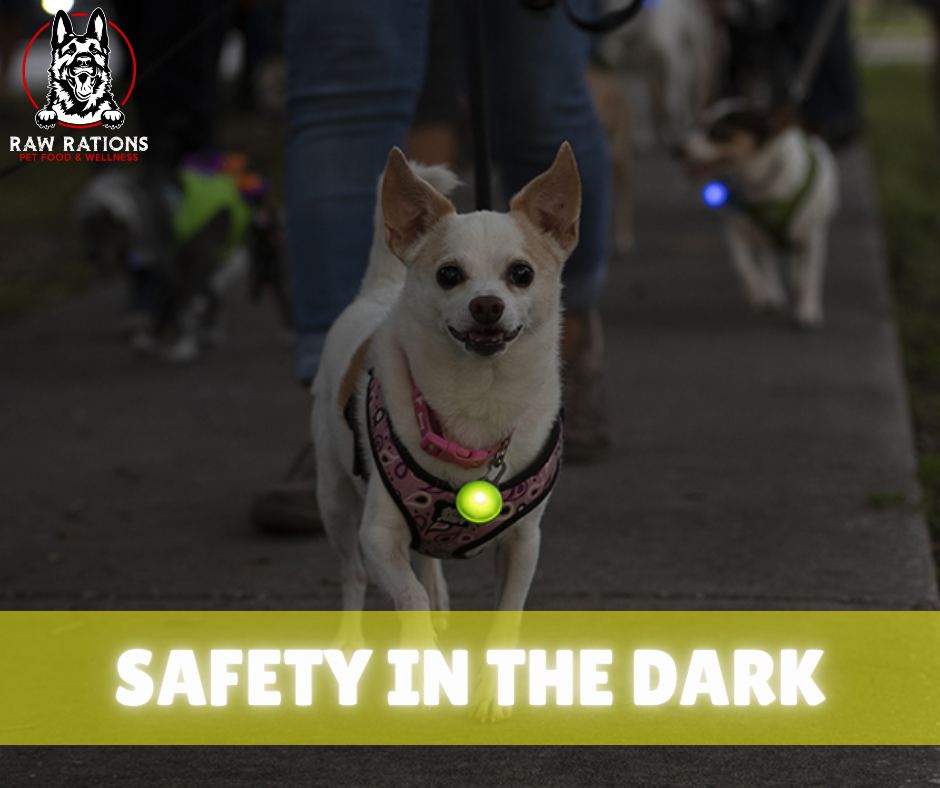 Safety in the Dark