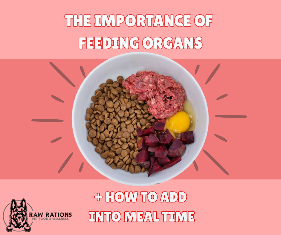 Organ Meat in Raw Diets