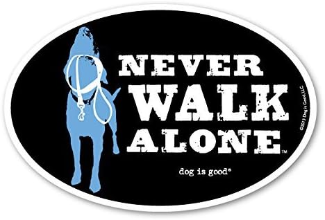 Dog is Good Oval Car Magnet