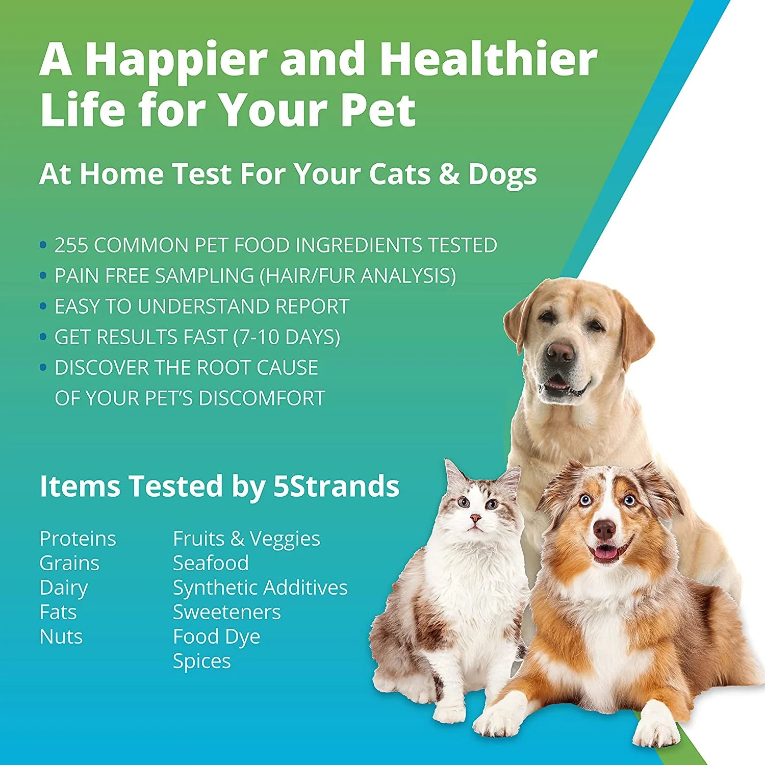 5Strands Sensitivity Test Food Only