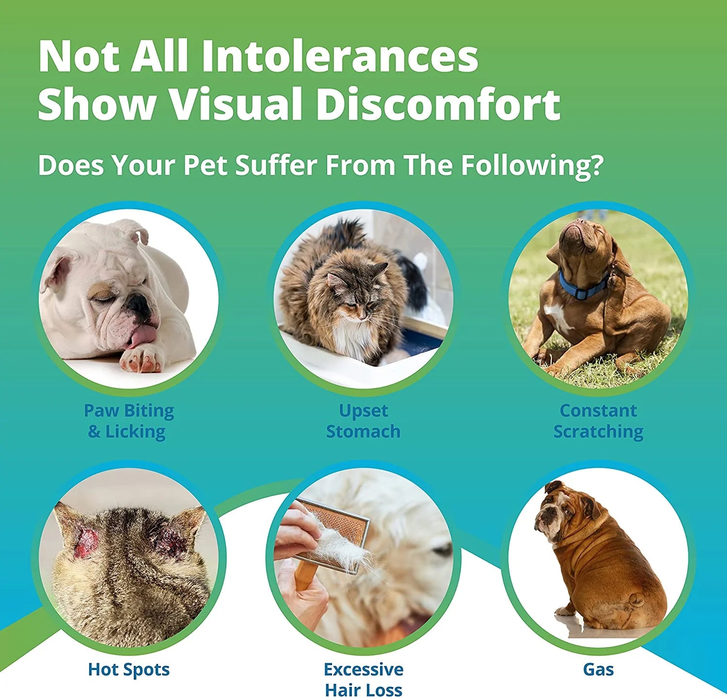 5Strands Sensitivity Test Food Only