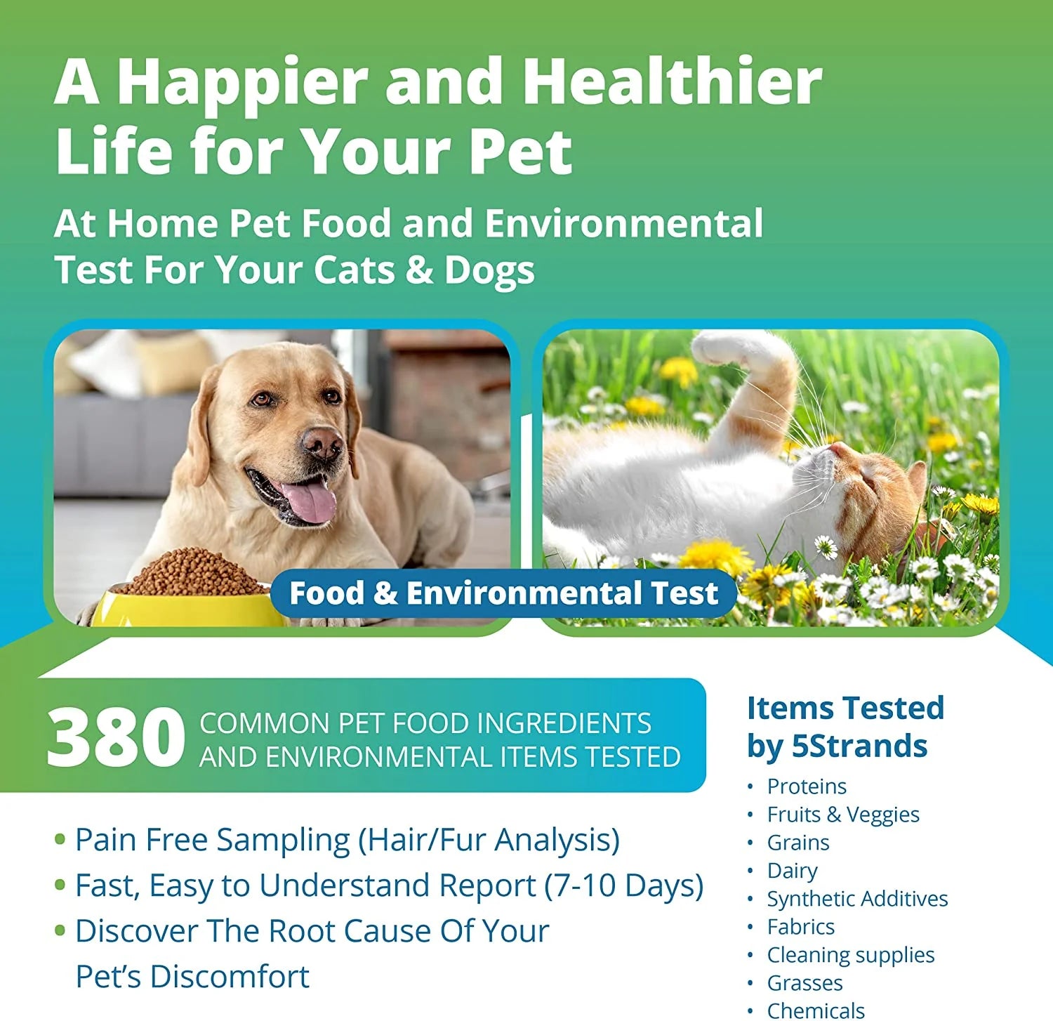 5Strands Sensitivity Test Environmental + Food