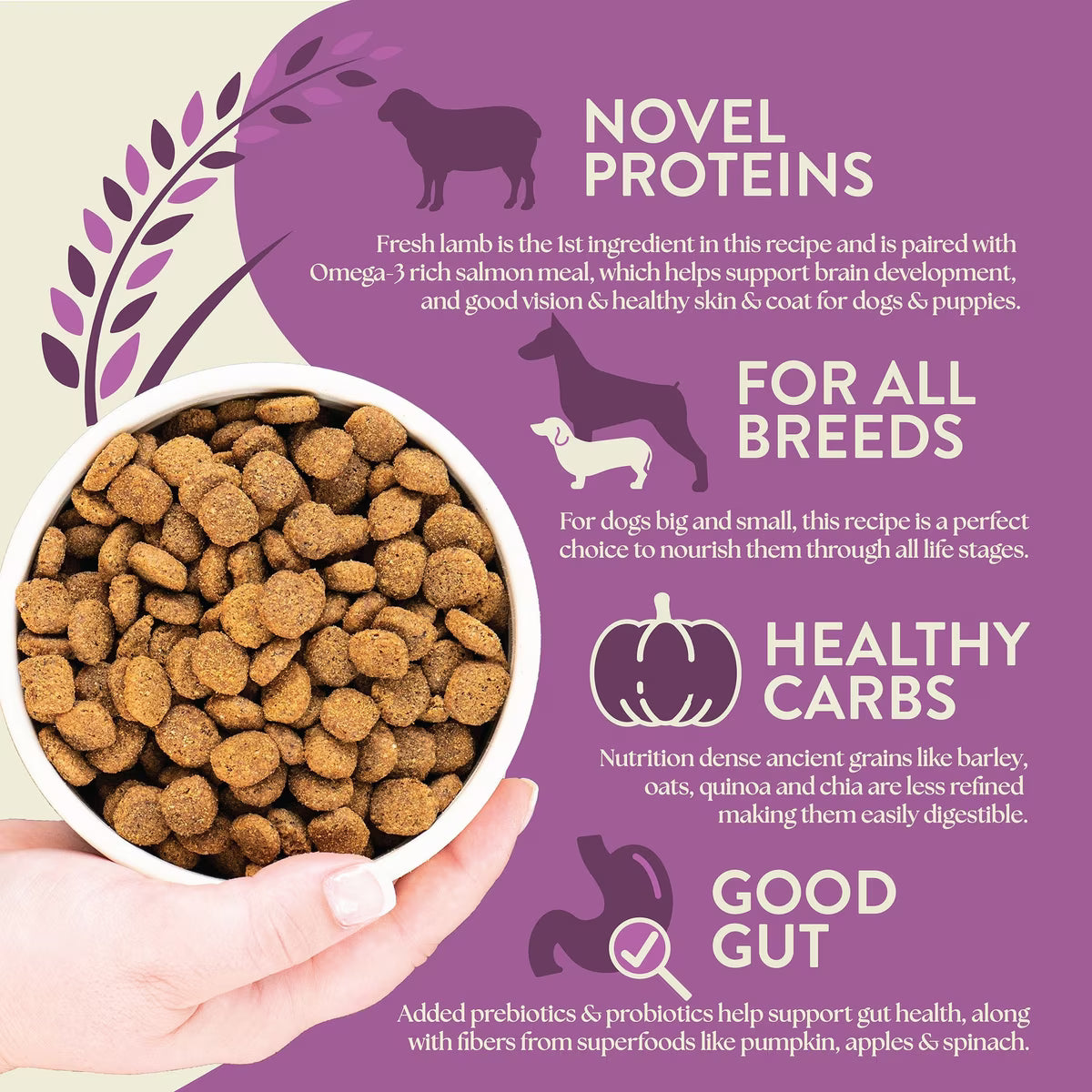 Earthborn Holistic Dog Unrefined Ancient Grains & Superfoods- Lamb