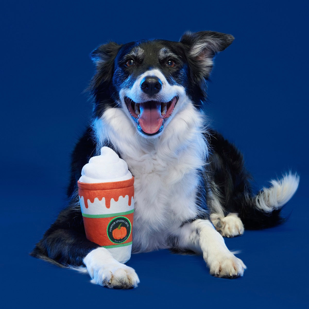 BARK Pumpkin Latte