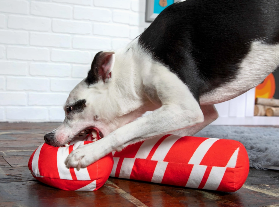 Bark Grandy Cane Plush Dog Toy