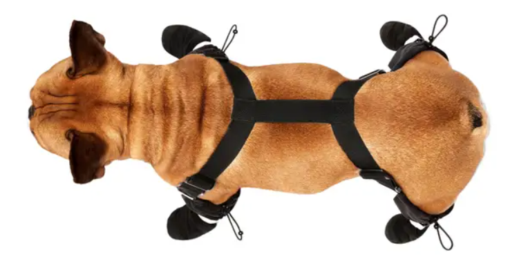 Canada Pooch Suspender Dog Boots