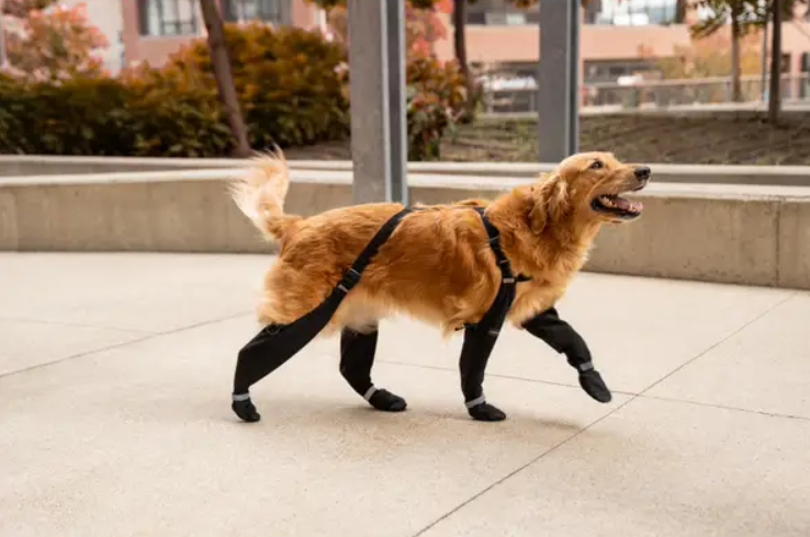 Canada Pooch Suspender Dog Boots