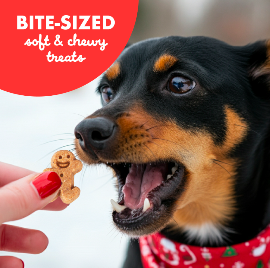 Cloud Star Buddy Softies - Gingerbread Flavor 6oz