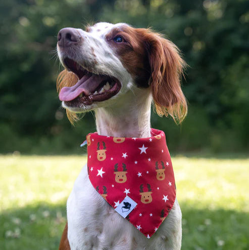 Dog Bandana Co - Reindeer & Penguin