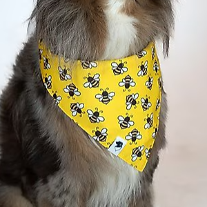 Dog Bandana Co - Bees & Daisy