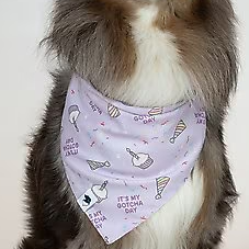 Dog Bandana Co - Birthday Girl & Gotcha Day