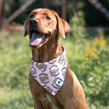 Dog Bandana Co - Camping & Smores