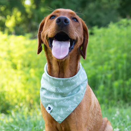 Dog Bandana Co - Camping & Smores