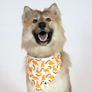 Dog Bandana Co - Chicken Nugget