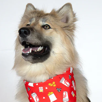Dog Bandana Co - Chicken Nugget