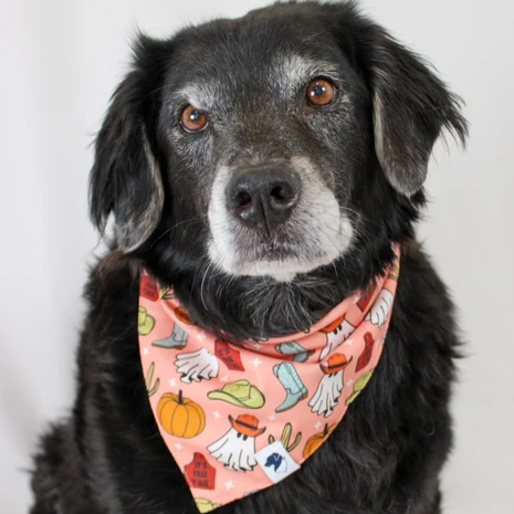 Dog Bandana Co - It's Fall Y'all