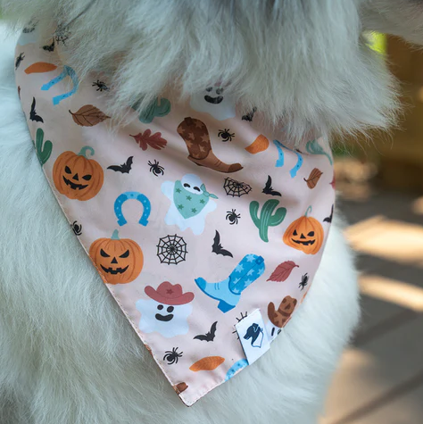 Dog Bandana Co - It's Fall Y'all