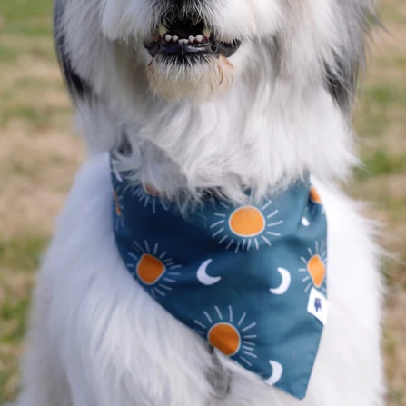 Dog Bandana Co - Blue Moon & Lightning