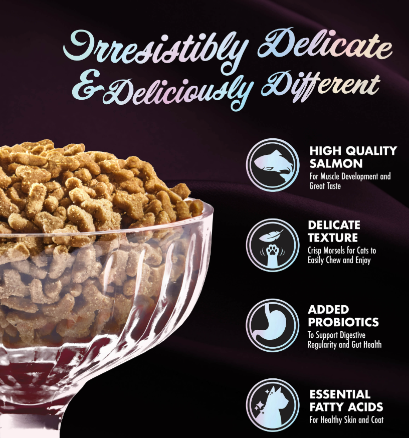 Fromm PurrSnicKitty Salmon Splendor Delight