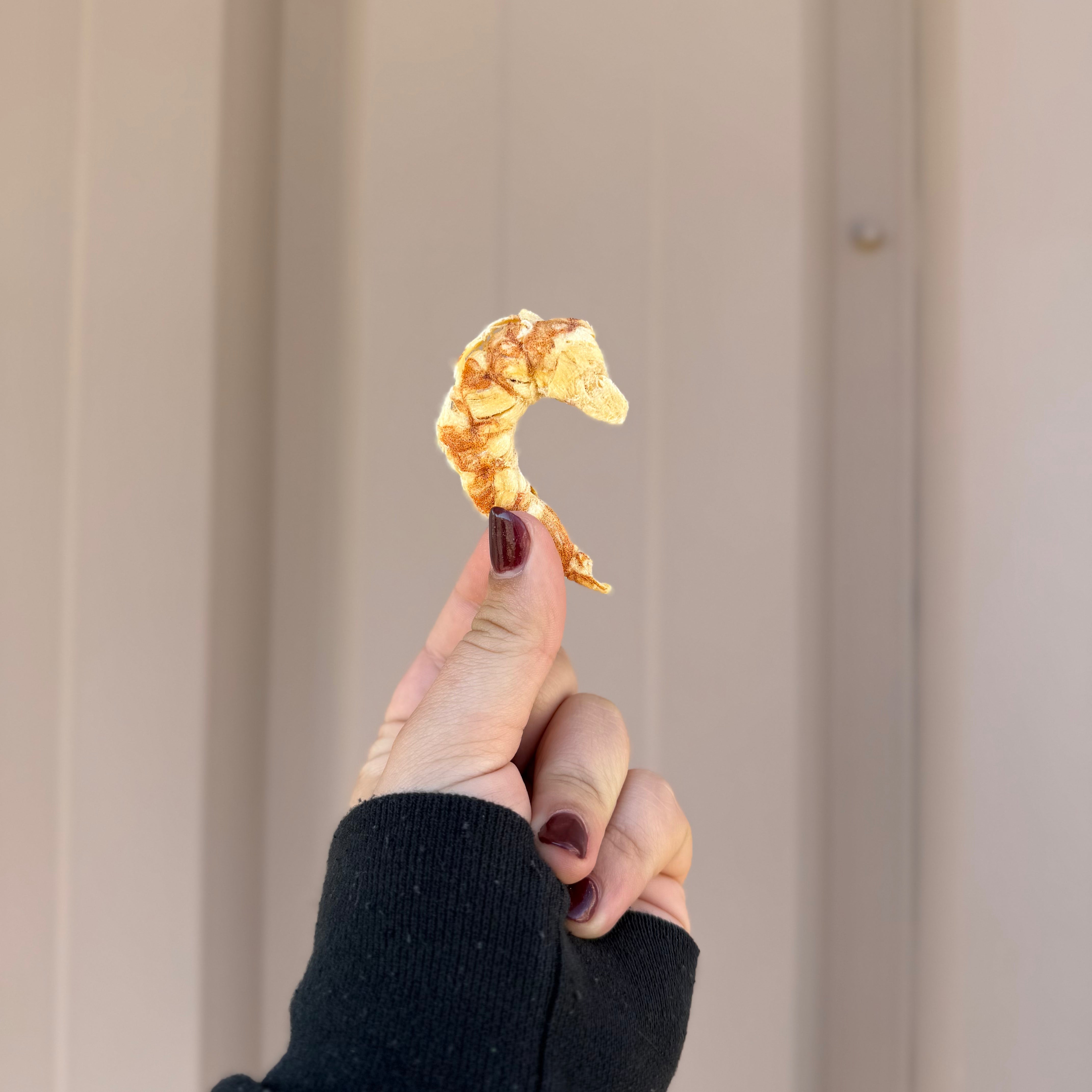 Midwest Legacy Freeze-Dried Shrimp