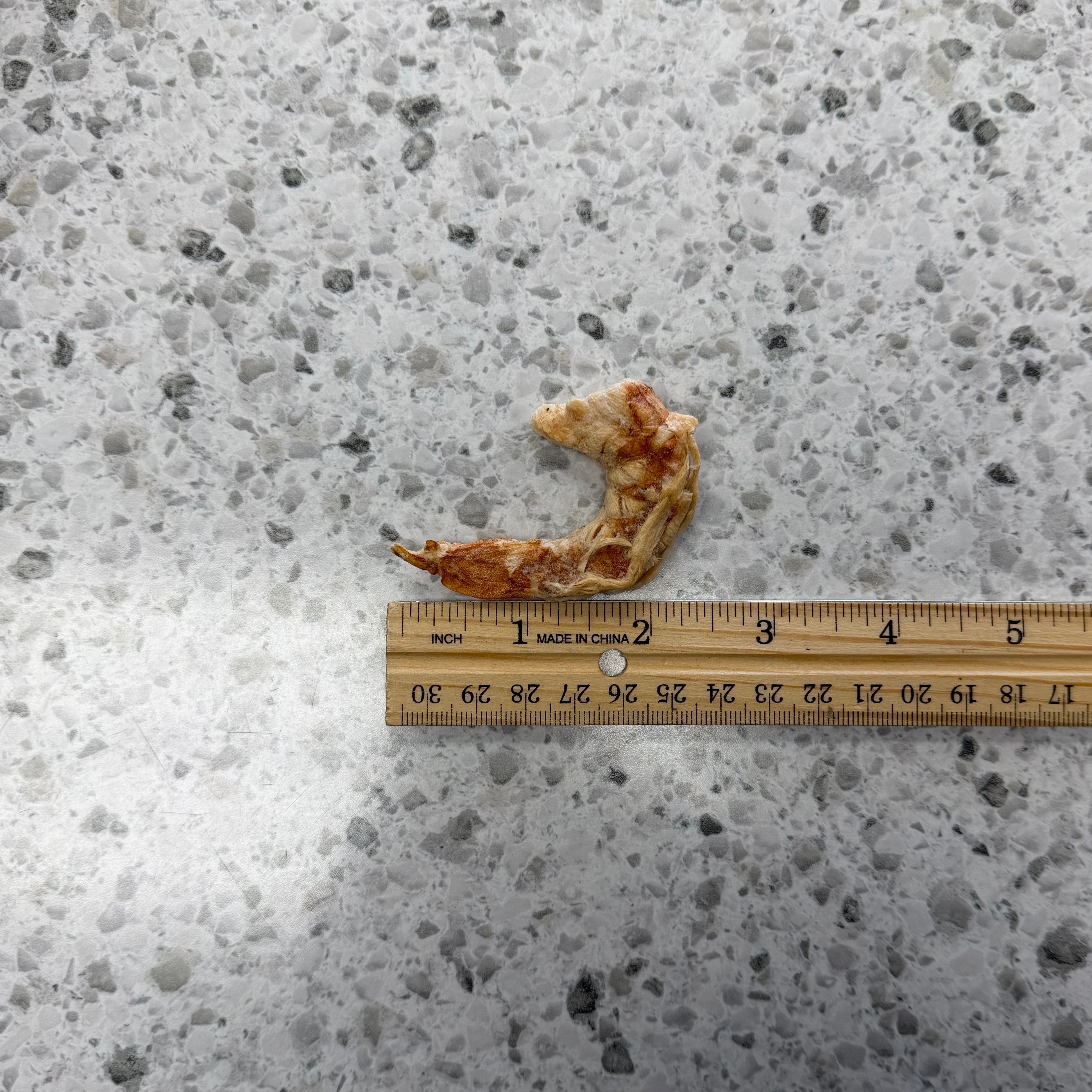 Midwest Legacy Freeze-Dried Shrimp