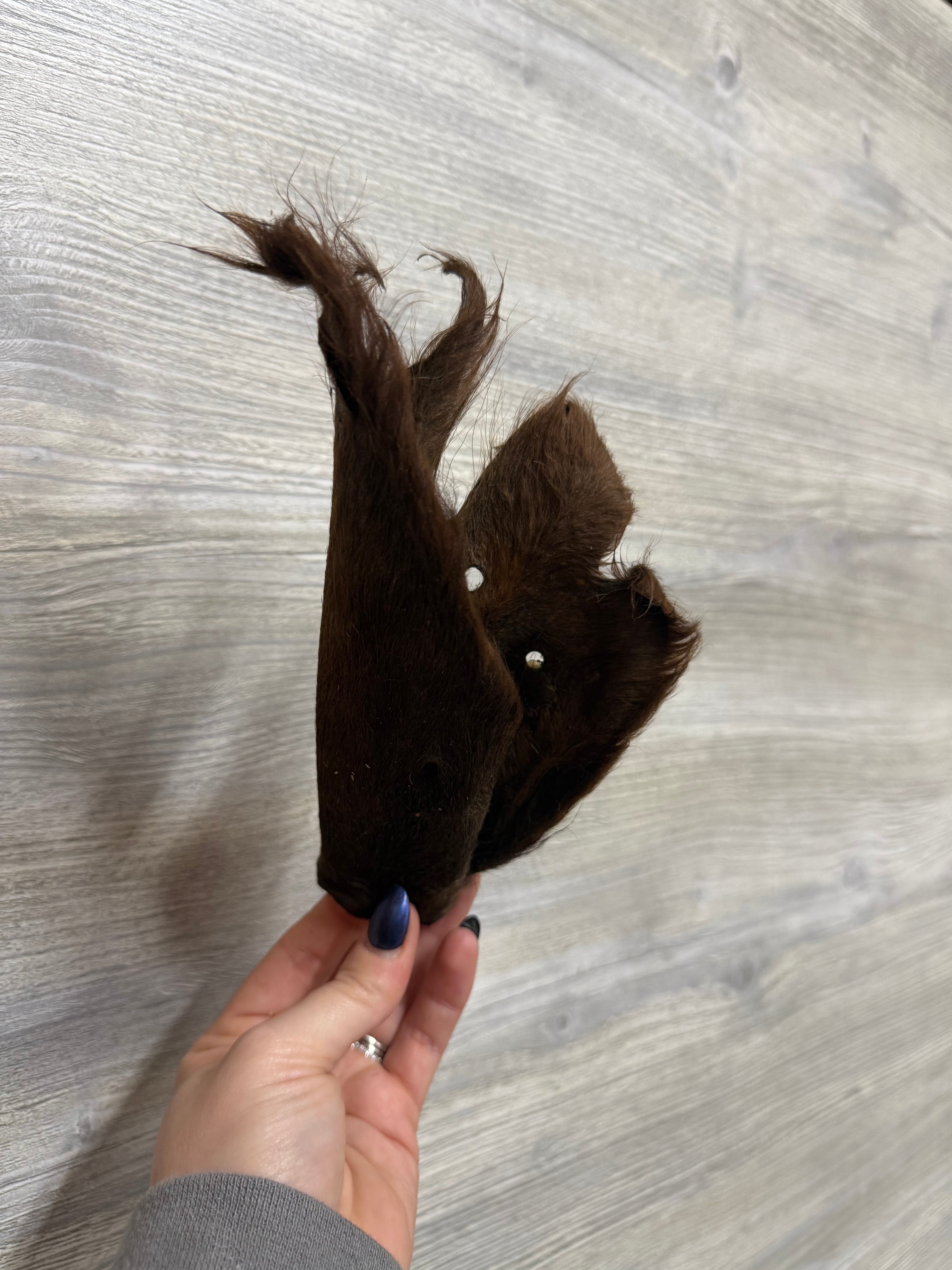 K-9 Kraving Cow Ear - Hair On