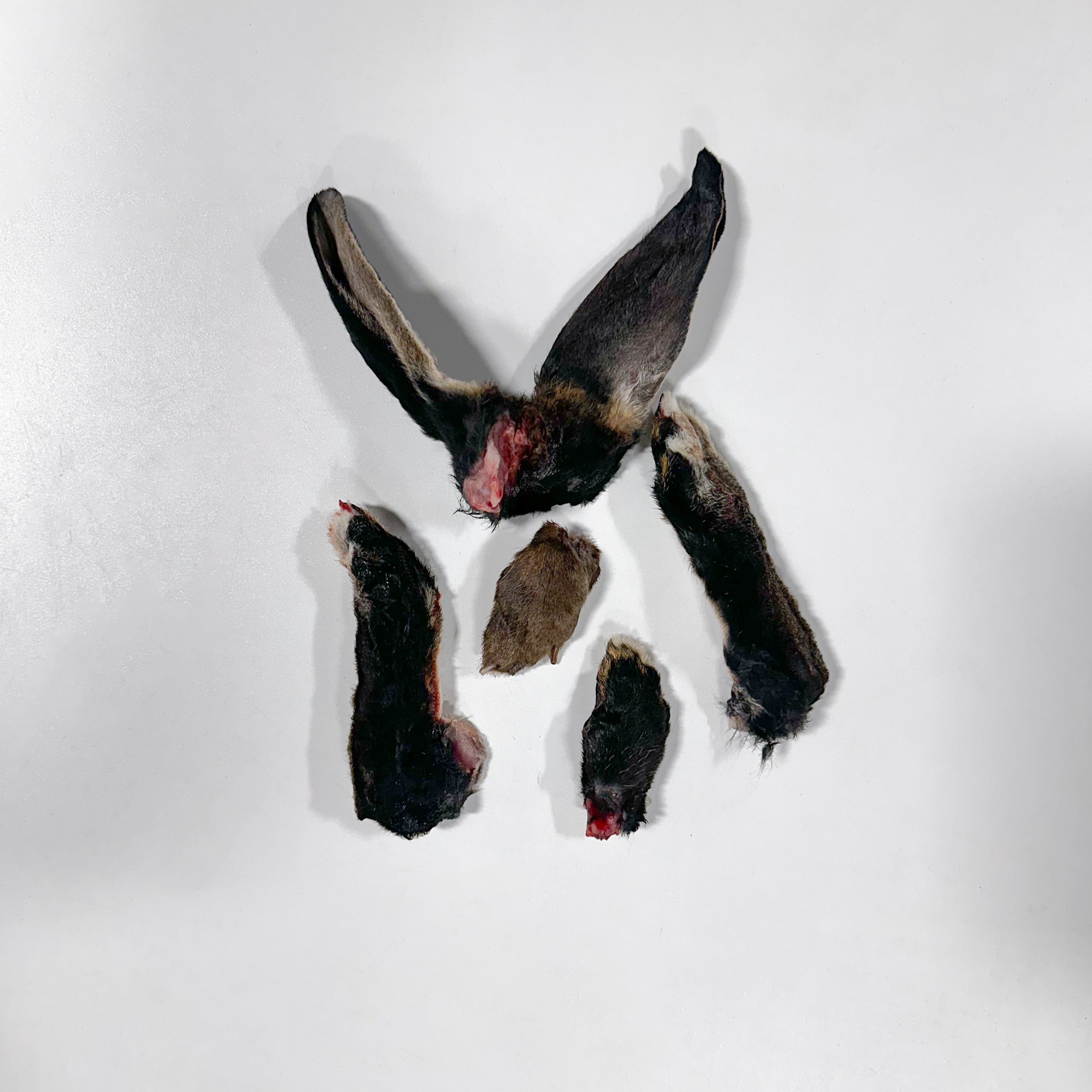 raw rations rabbit, raw pet food, rabbit feet and ears