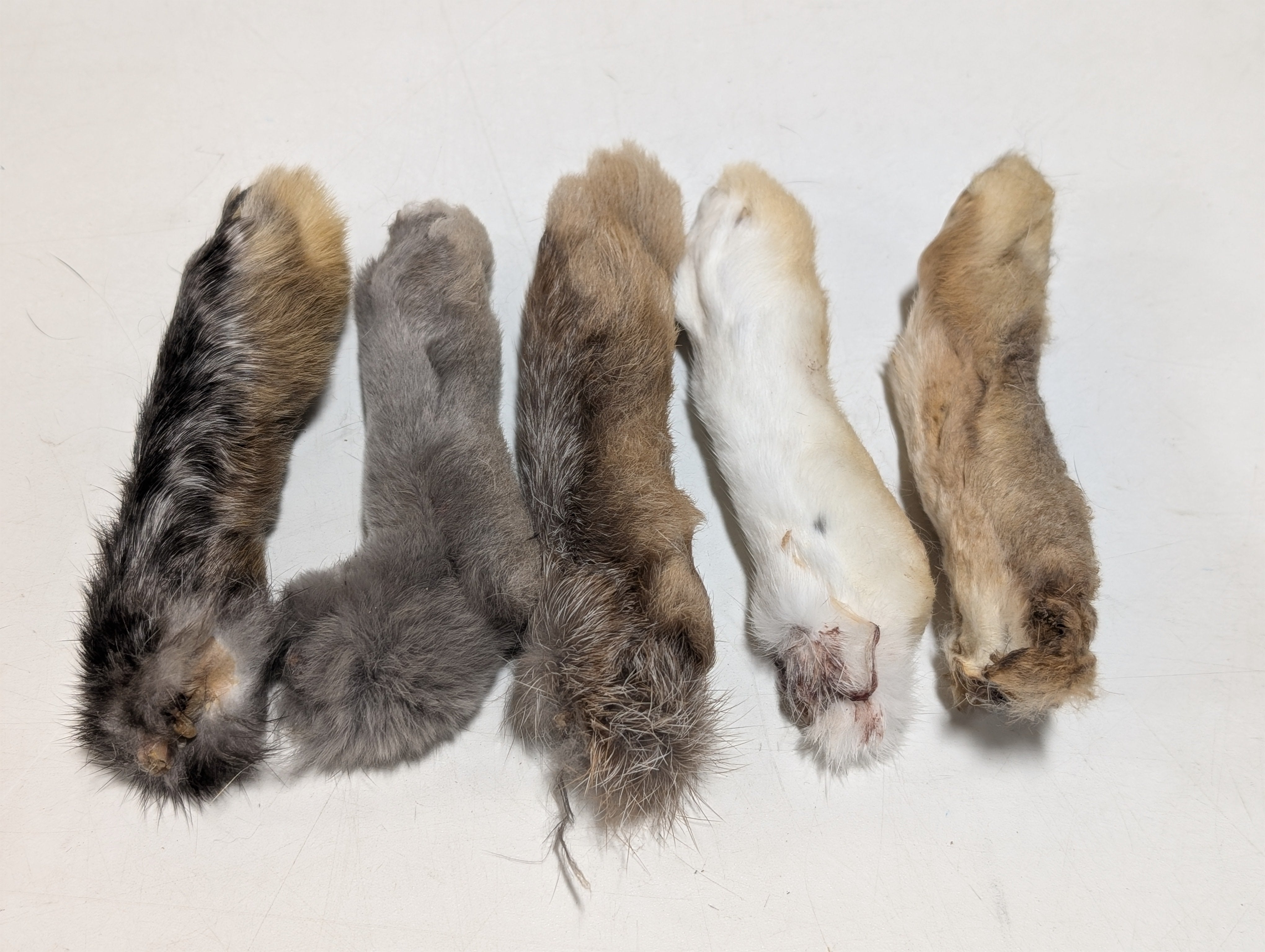 Raw Rations Rabbit Foot