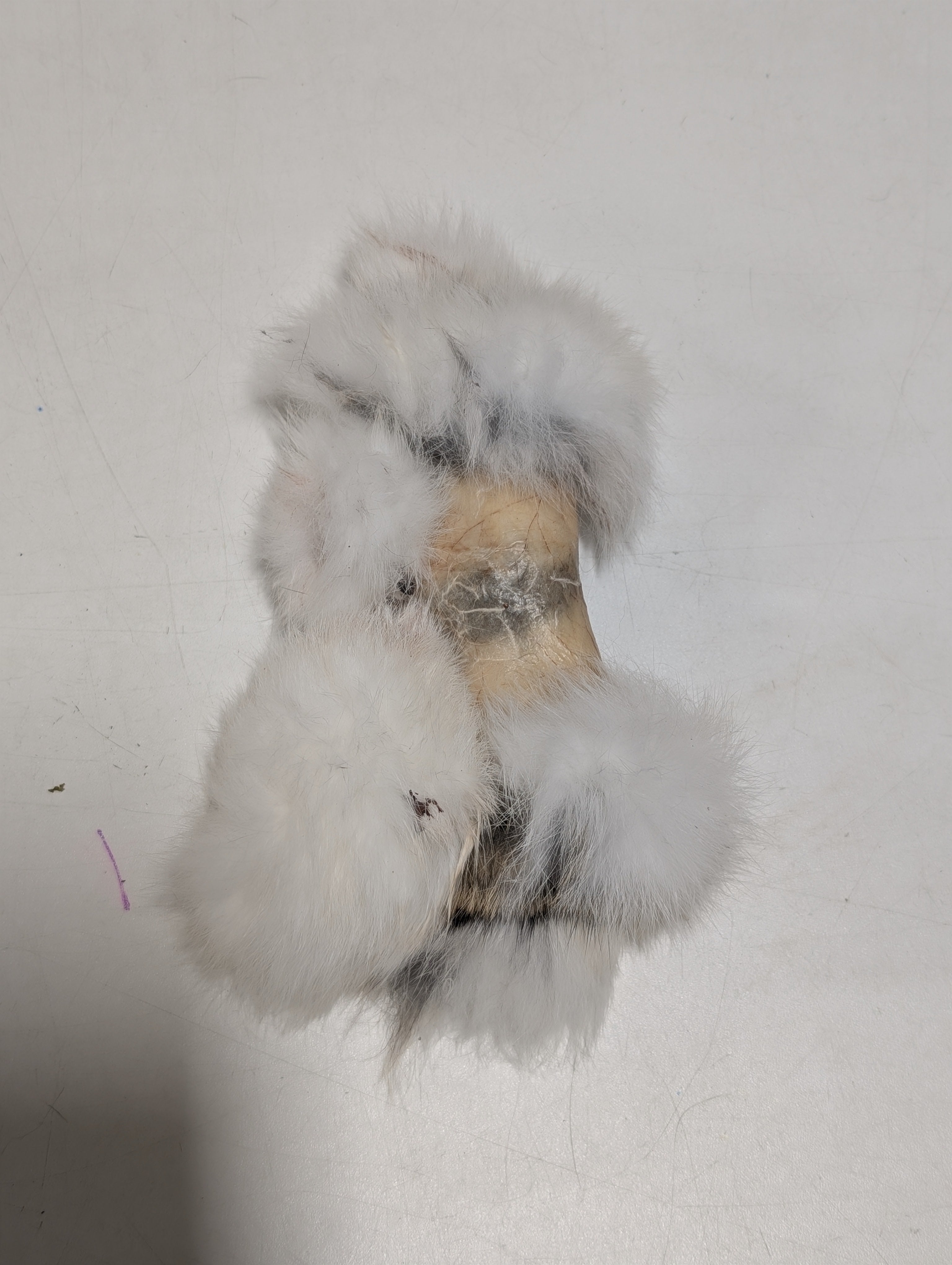 Raw Rations Rabbit Hide Roll