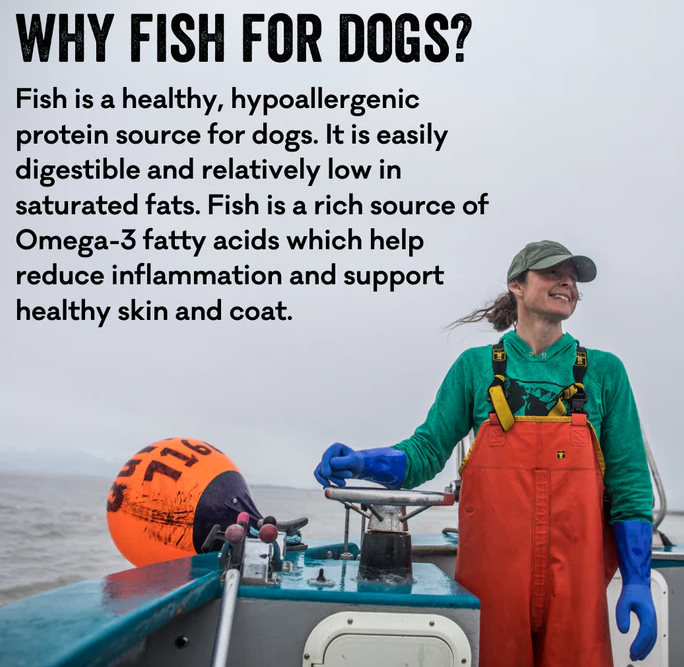 Polkadog Salmon Says Bones Dog & Cat Treats