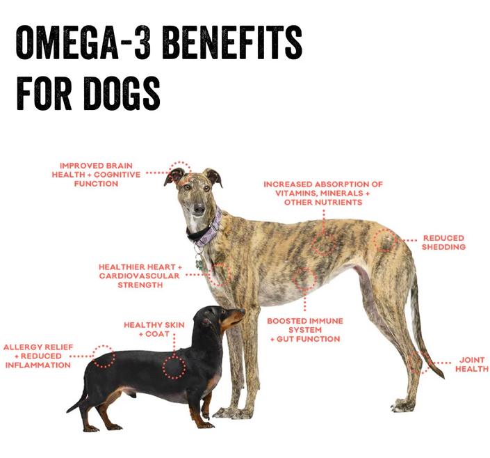 Polkadog Salmon Says Bones Dog & Cat Treats