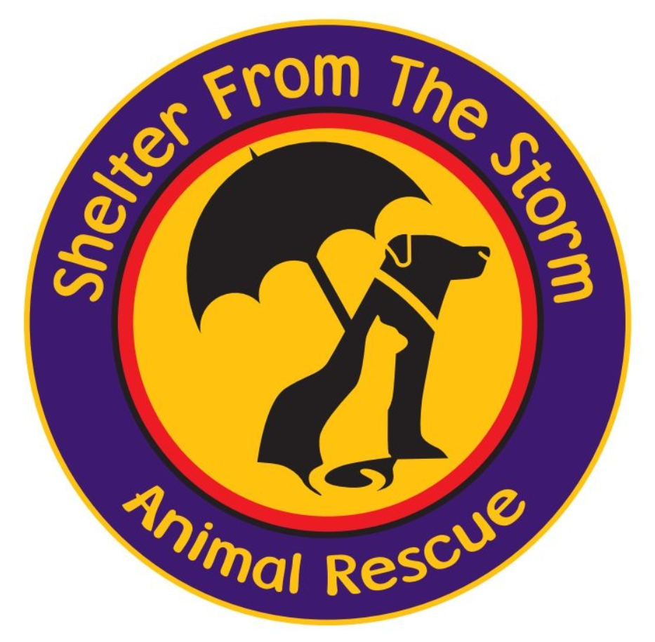 Shelter From the Storm Rescue Items