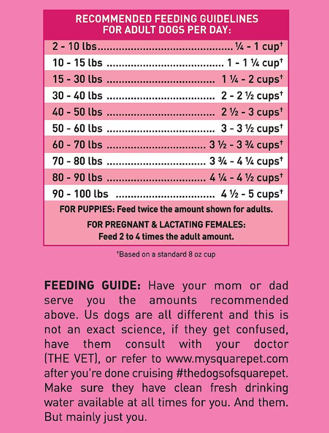 SquarePet VFS Canine Ideal Digestion