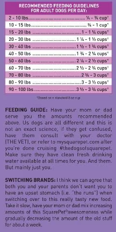 SquarePet VFS Canine Low Fat