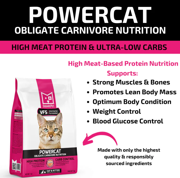 SquarePet VFS PowerCat Herring & Salmon