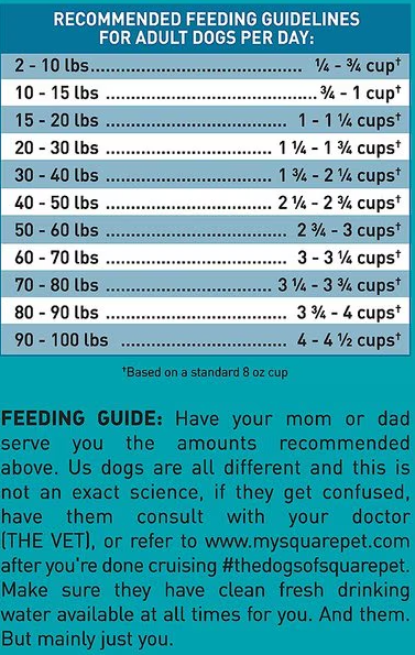 SquarePet VFS Canine Skin & Digestive Support