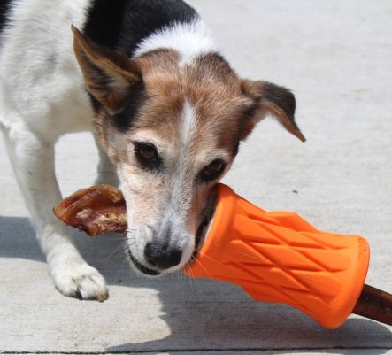 Tall Tails Natural Rubber Trunk 4 inch Toy