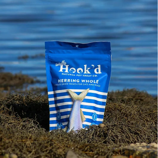 Blue 'Hook'd' pet treat package on a rocky surface with water in the background