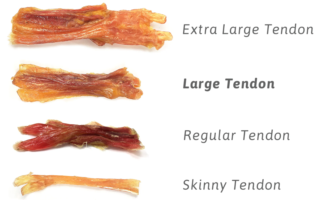 Tuesday's Large Beef Tendon