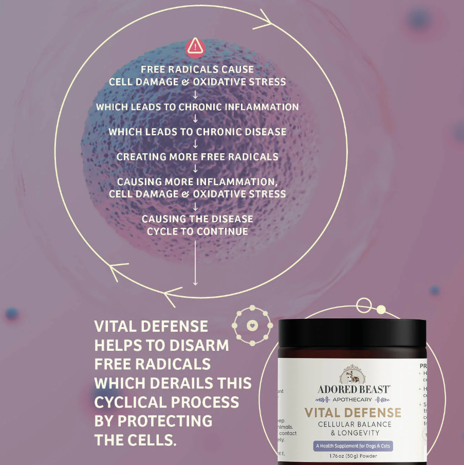 Adored Beast Apothecary Vital Defense