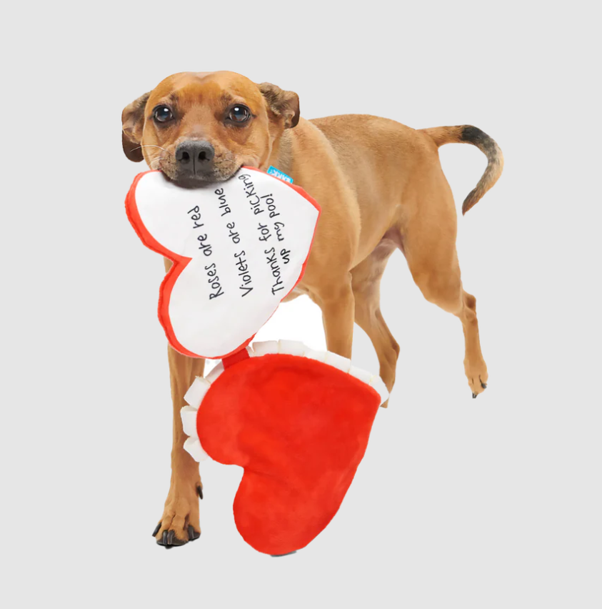 BARK Valetnine's Be Mine Growlentine Plush