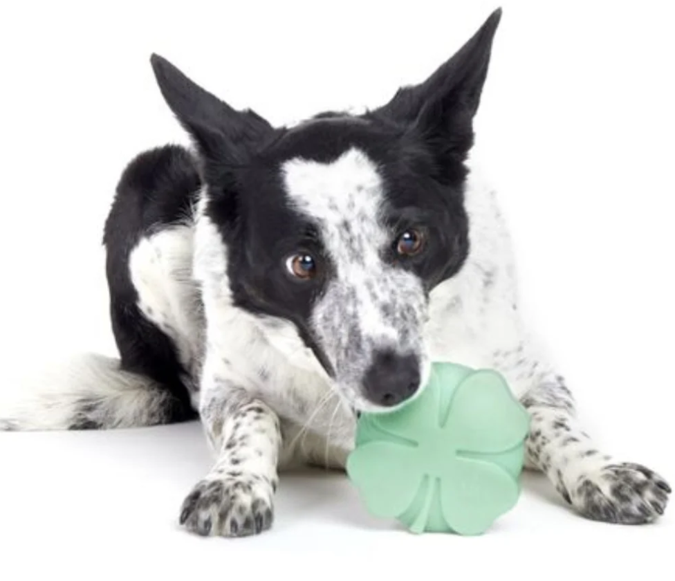 BARK Super Chew Fur Leaf Clover