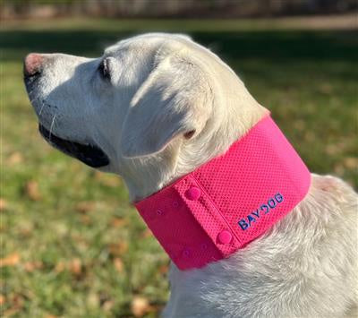 BayDog Arctic Bay Cooling Collar
