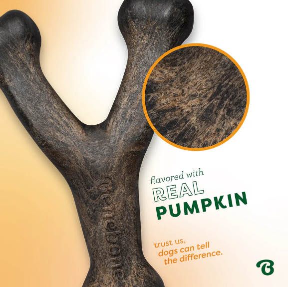 LIMITED EDITION Benebone Wishbone Pumpkin Spice / Medium