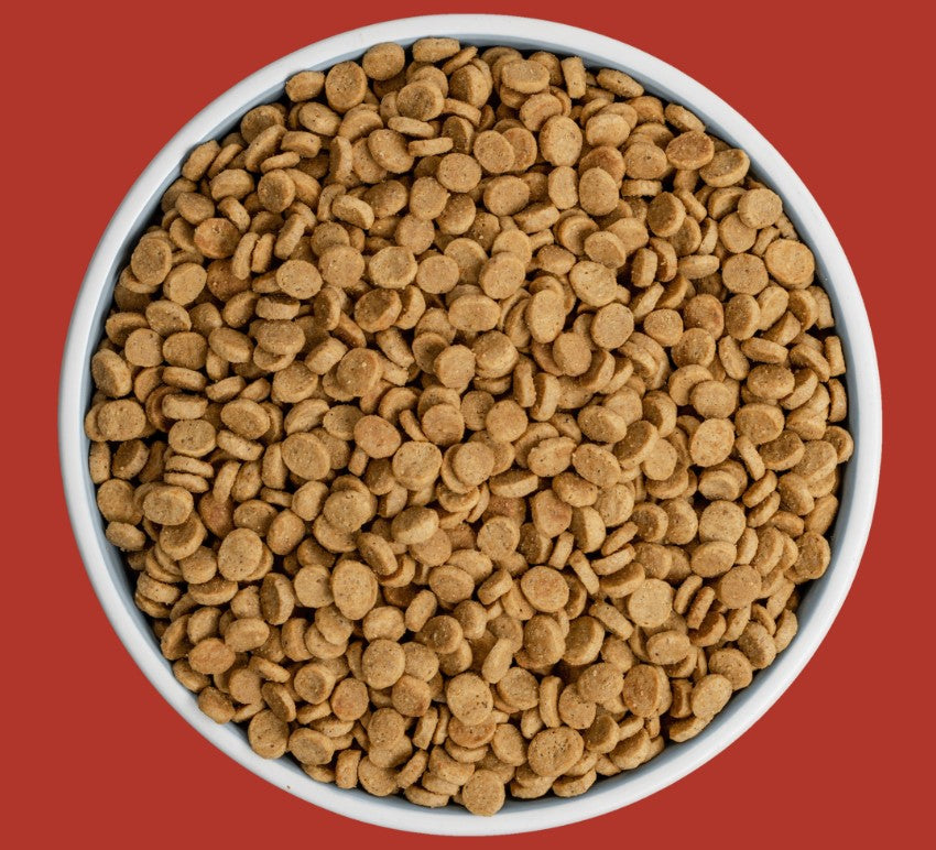 Bixbi Rawbble Beef Dry Food