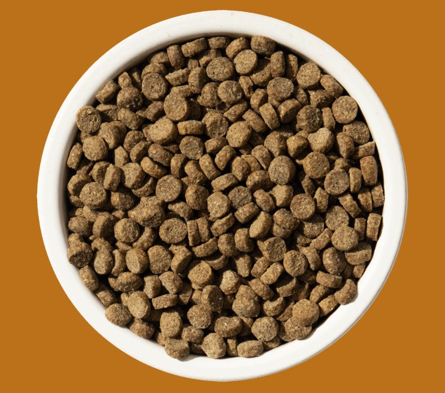 Bixbi Rawbble Chicken Dry Cat Food
