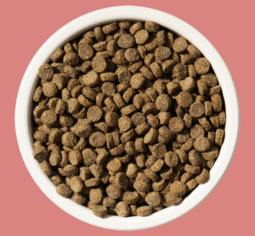 Bixbi Rawbble Salmon Dry Cat Food