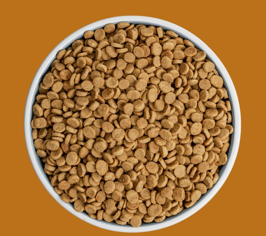 Bixbi Rawbble Chicken Dry Food